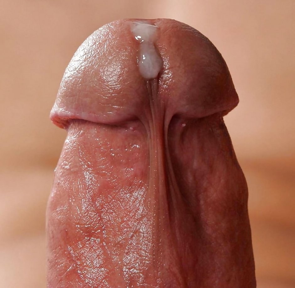 Close up cocks