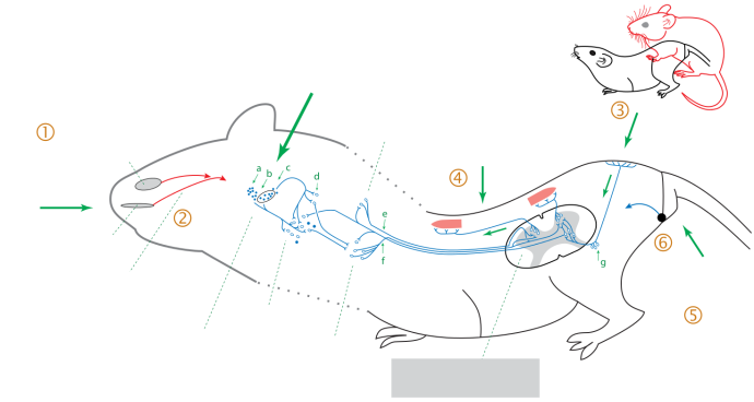 Красивое порно. Лежа на спине