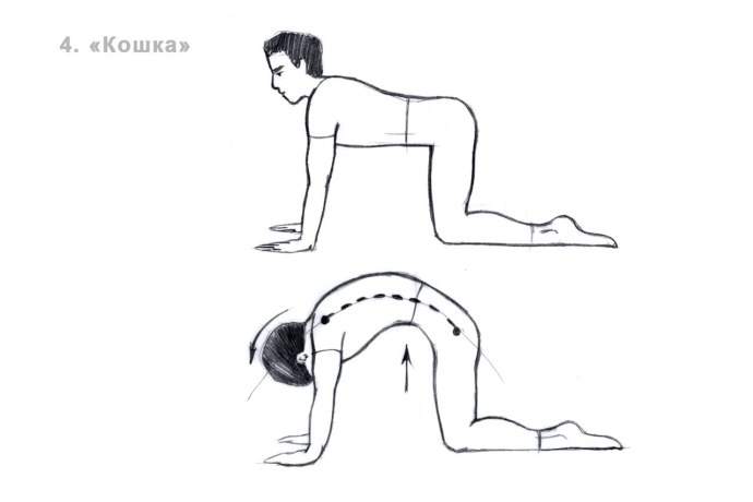 Догги стайл вид от первого лица