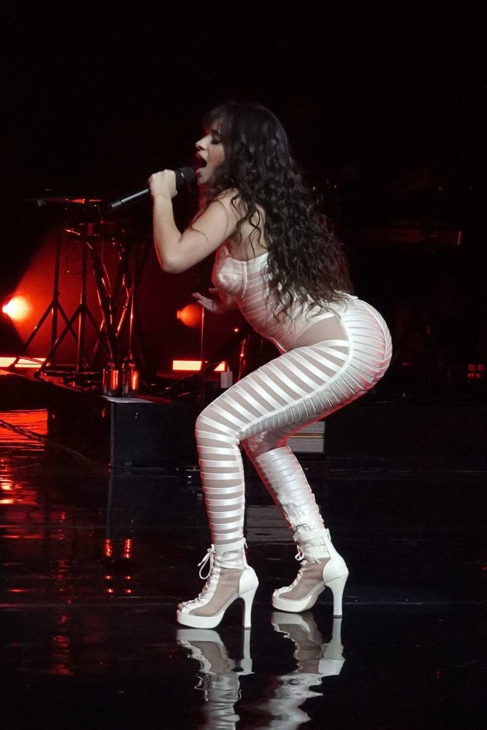 Camila Cabello hot