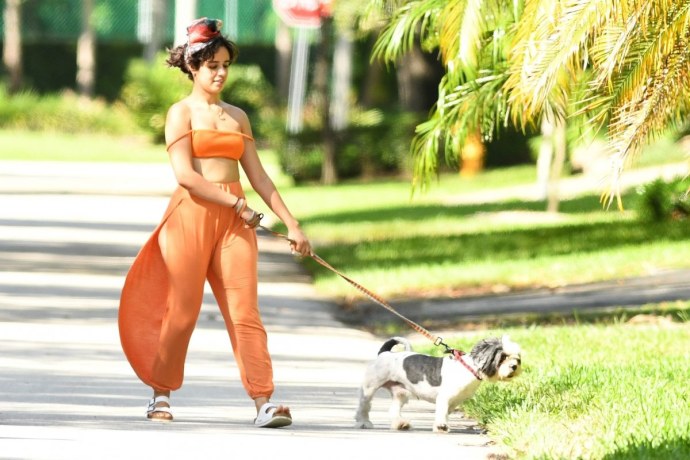 Camila Cabello - чулки игры ролевые