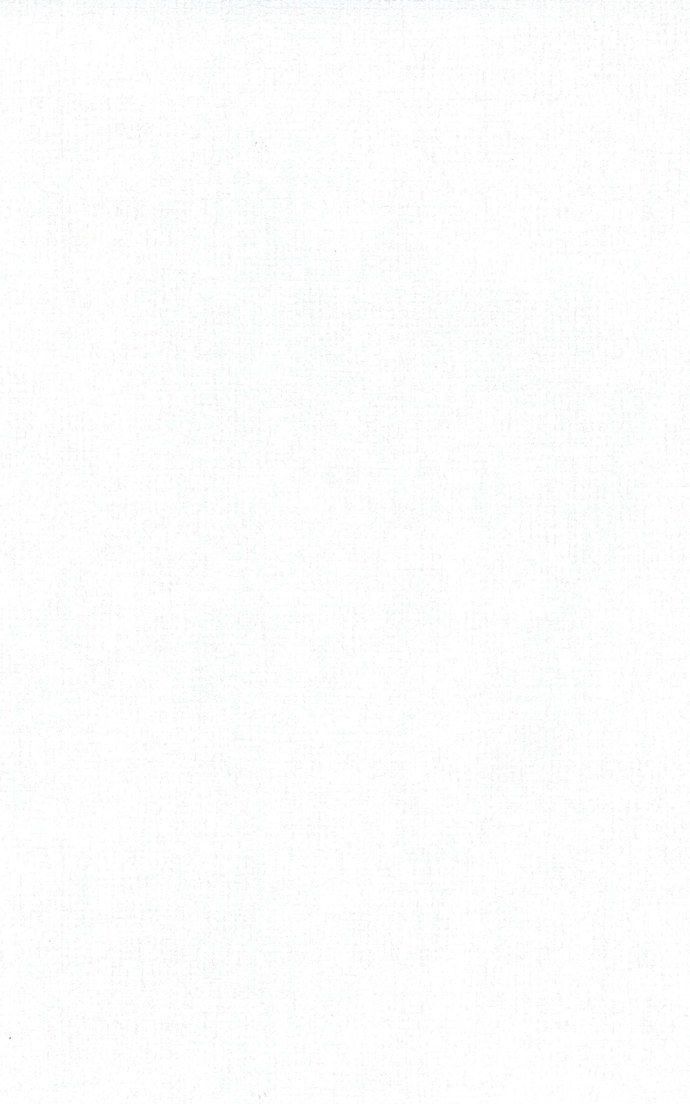 Vitra Newcon White r10a Rec 60х120