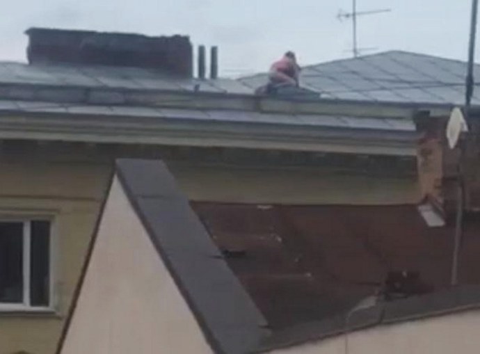 Интерьер мансарды с кукушками