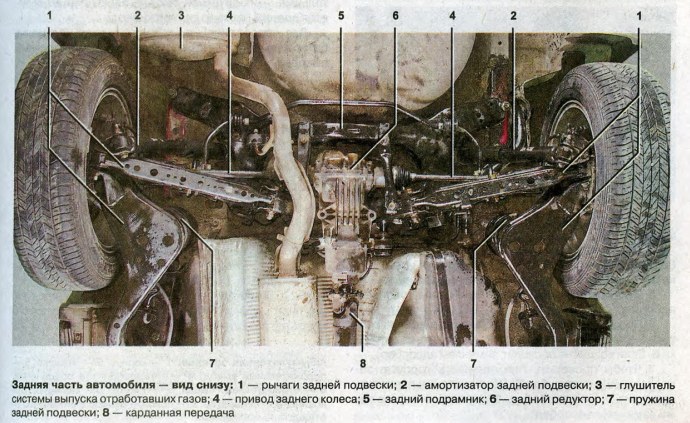 Красивые мужские попы и члены