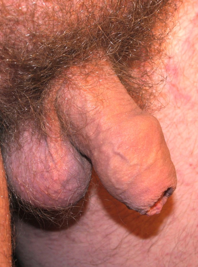 Маленький член порнофильмы