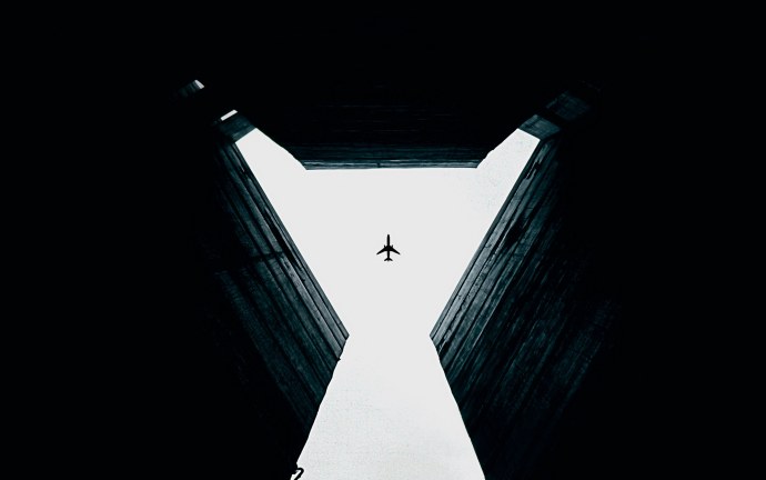 Даника Коллинз крупным планом