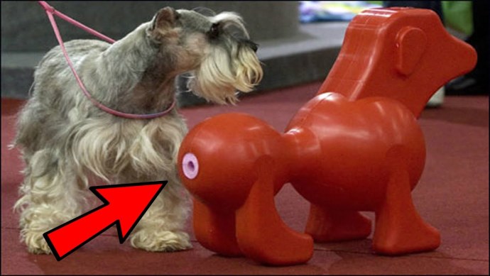 Куклы роботы для мужчин