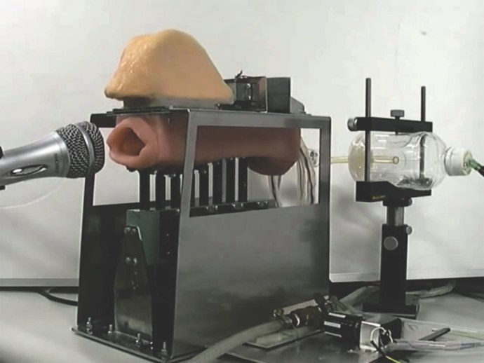 Саманта Сэйнт порнозвезда