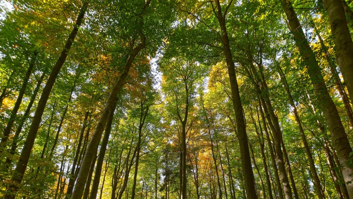 Под джинсовой юбкой без трусов
