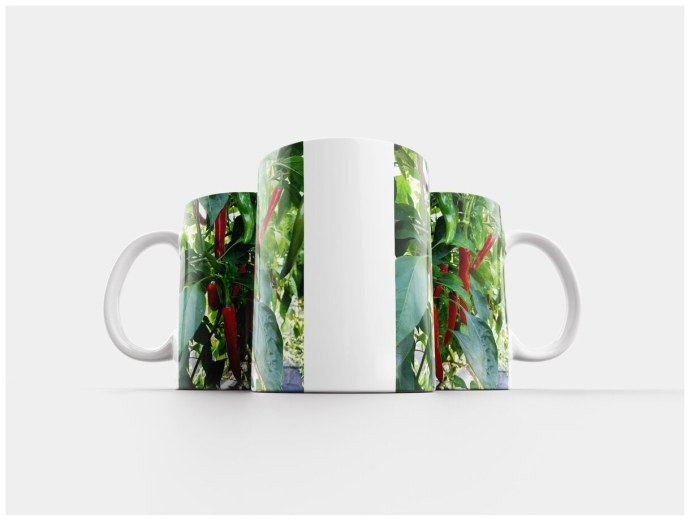 Marta Wierzbicka модель