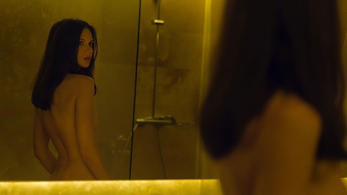 Шелягина слив