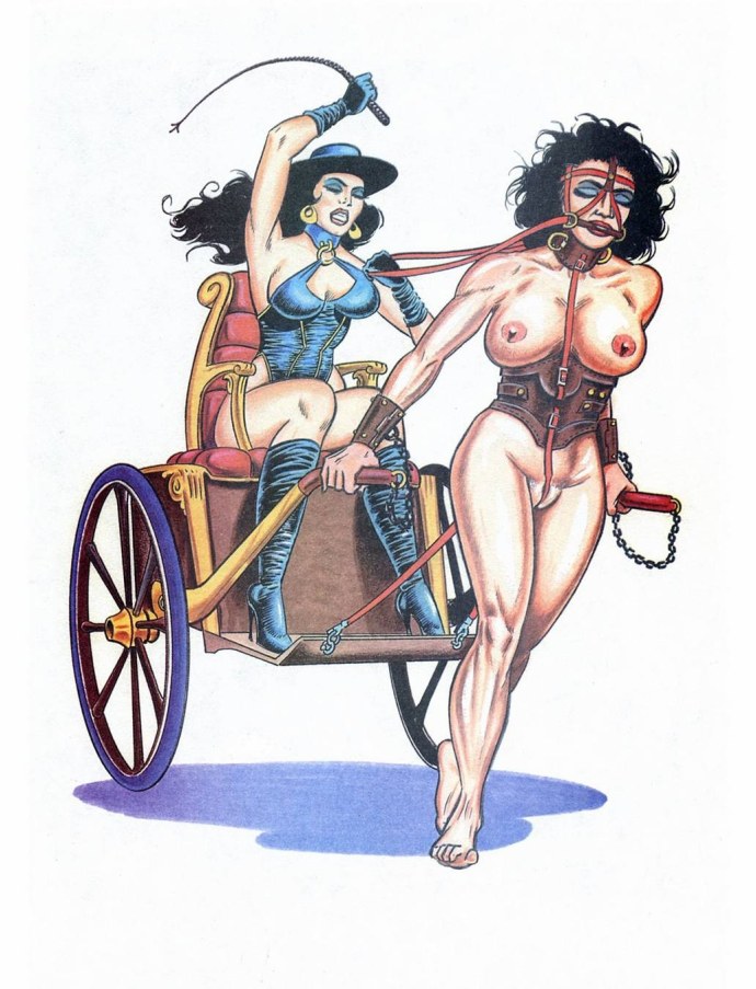 Девушка пони плей бдсм