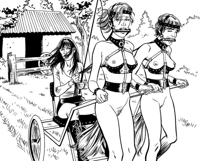 Пониплей понигерл бдсм