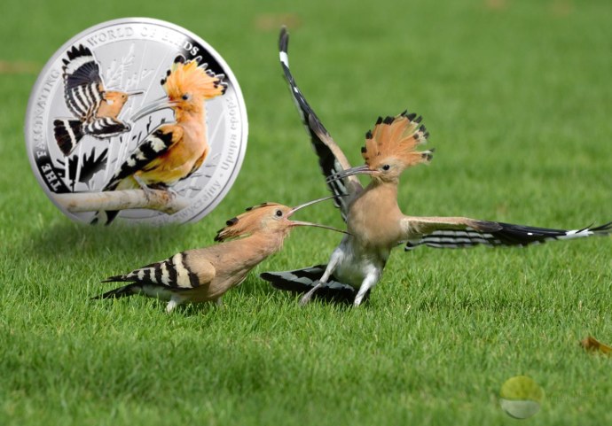 Заповедник Вишерский животные и птицы