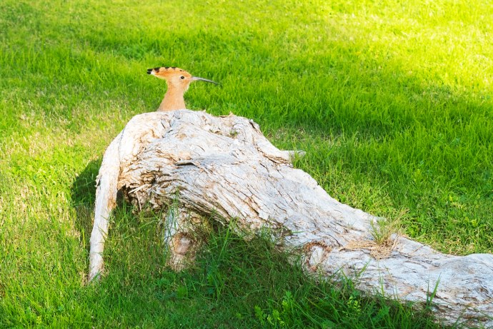 Калинина Елена Анатольевна