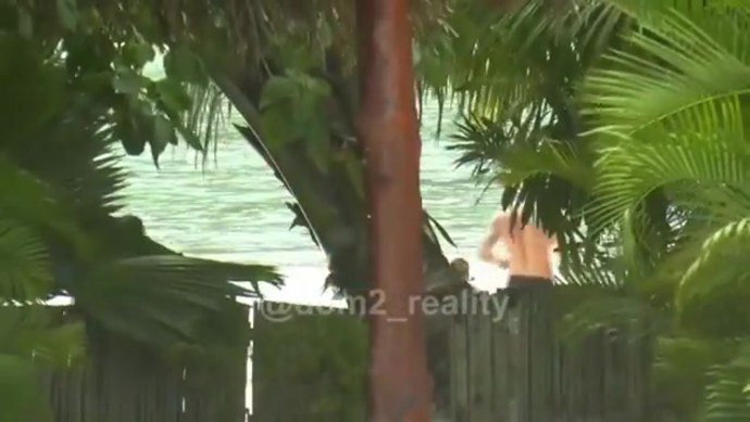 Дива Розенберг