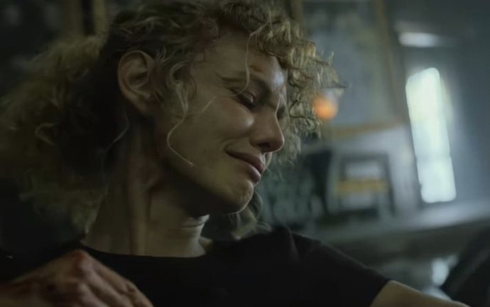 Pz19jb карбюратор