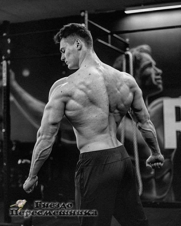 Владимир Бабич картины горы