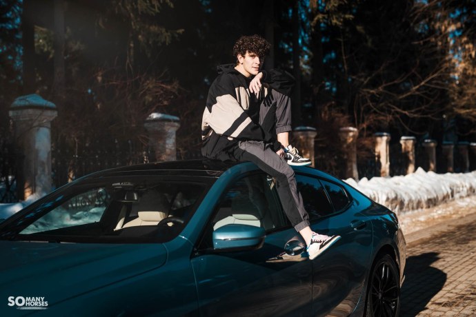 Дело об убийстве канарейки Советский писатель