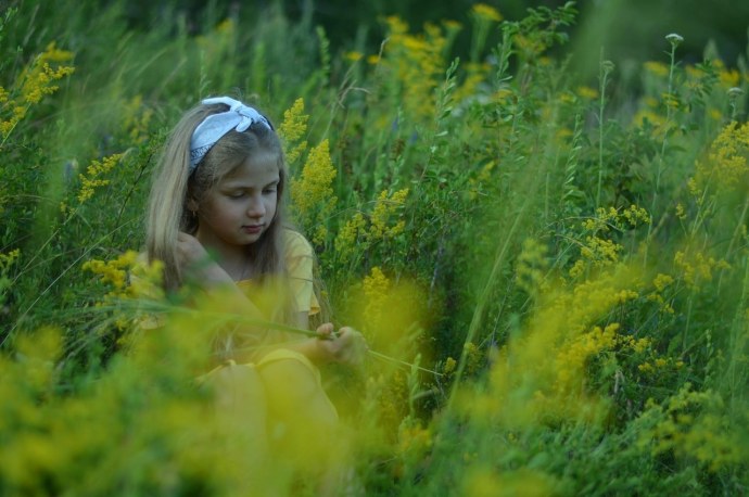 Двускатная теплица Митлайдера чертежи