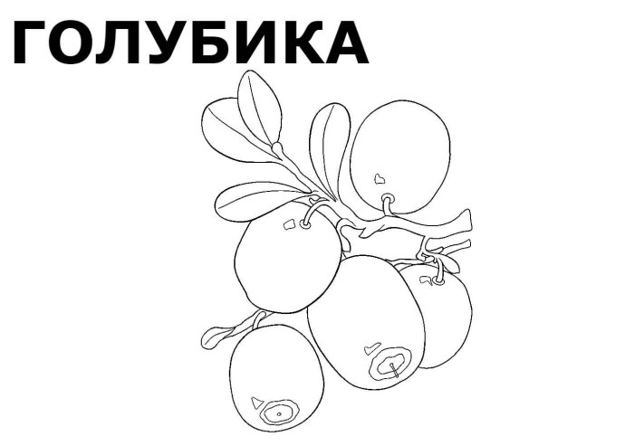 Катана комбат онлифанс