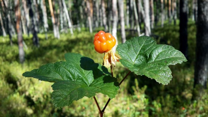 Таня Моргунова Максим