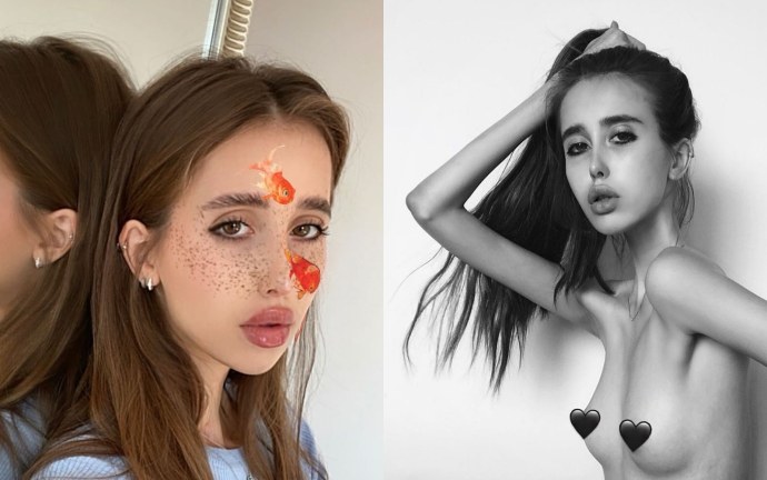 Полимерная глина брошки