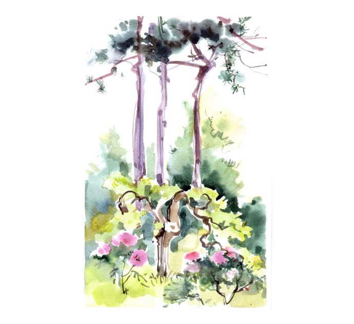 Sony логотип вектор