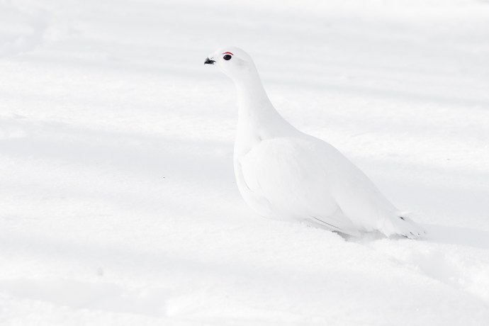 Настя Евстратова в купальнике