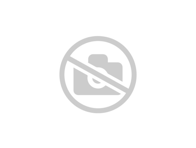 Изображение no image