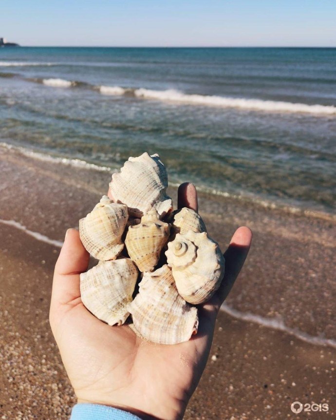 Рыба фугу Мем