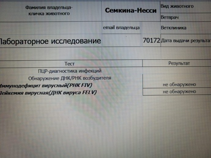 Грегори Паккард