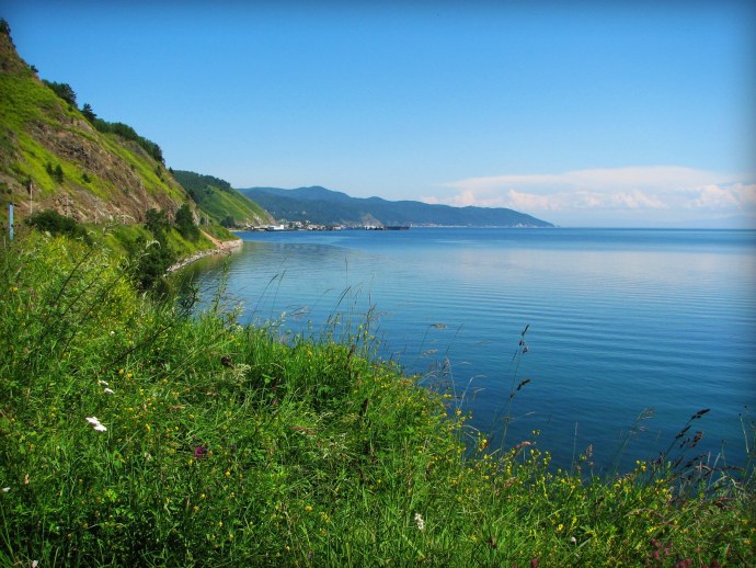 Эми Андерсон гиф