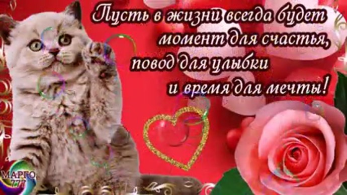 Галина Арсенькина голая фото