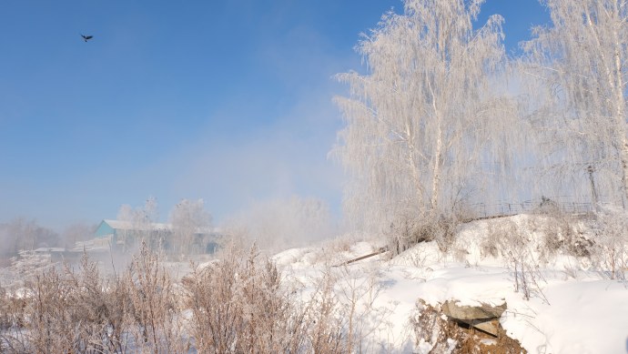 Галина Жижикина (фотограф) Наташа Тихомирова