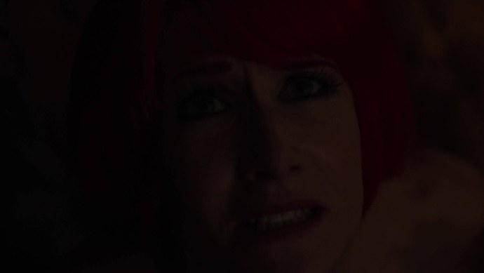 Таймырский заповедник песец