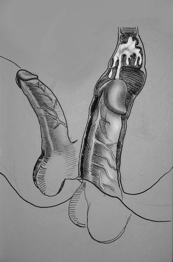 Красивые вагины девушек с членом внутри