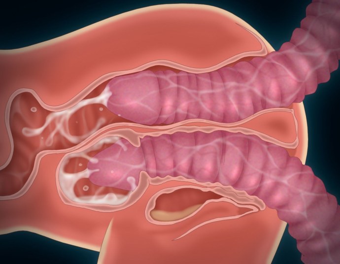 Красивый член во влагалище