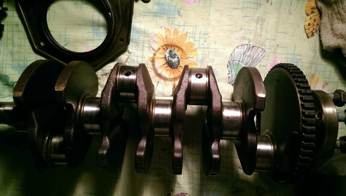 Сафари Апатиты