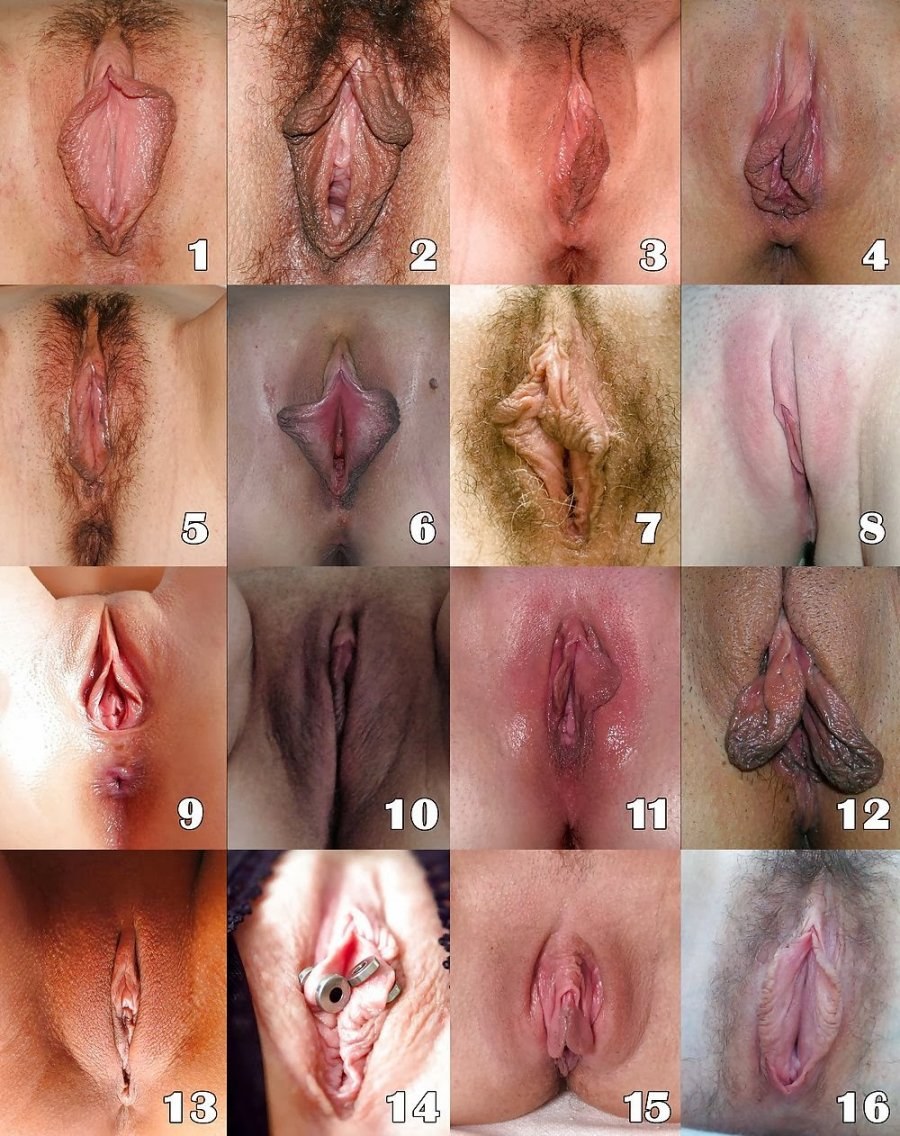 голая вагина все виды фото фото 89