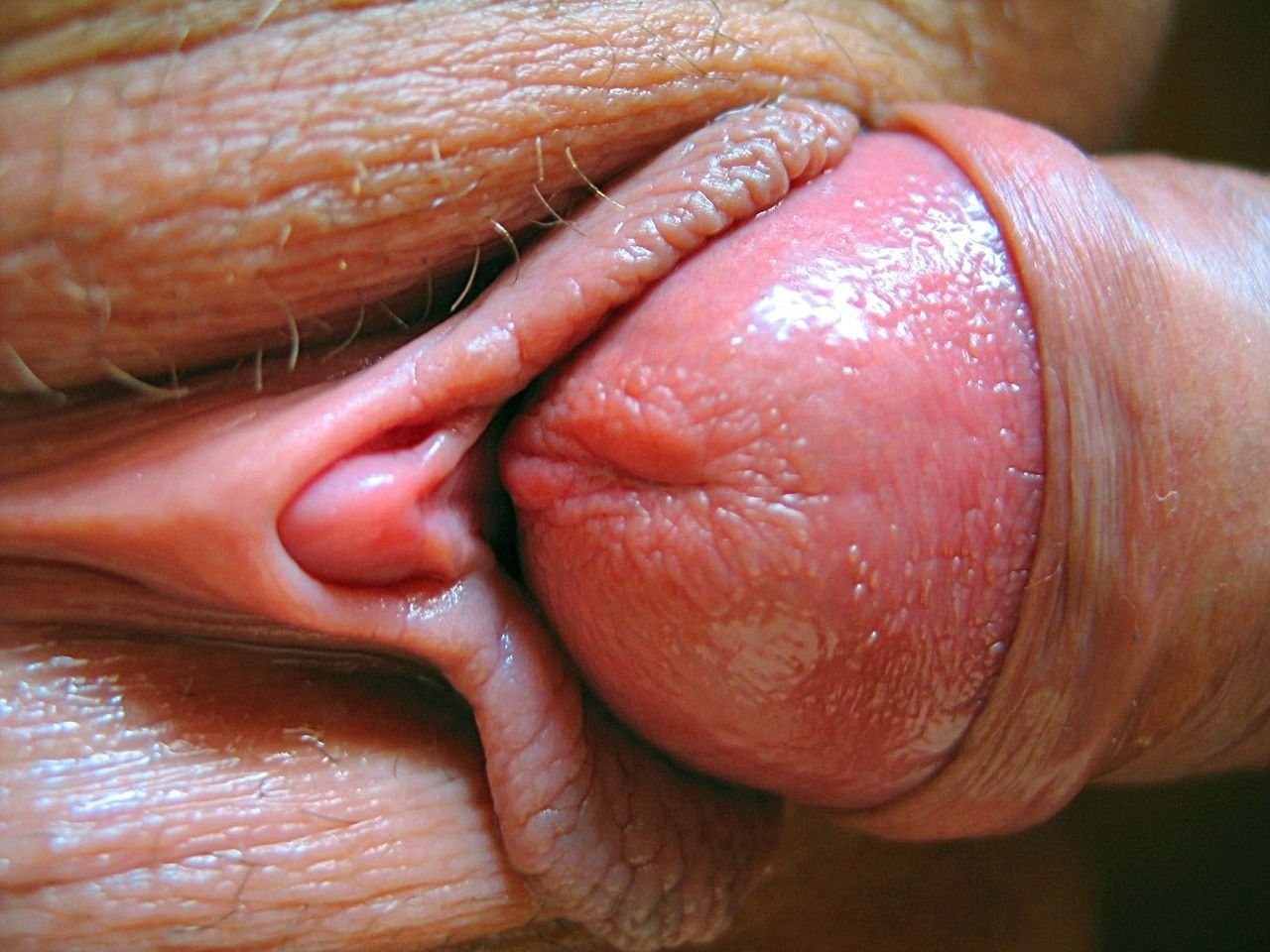 сперма на женских половых губах фото 76