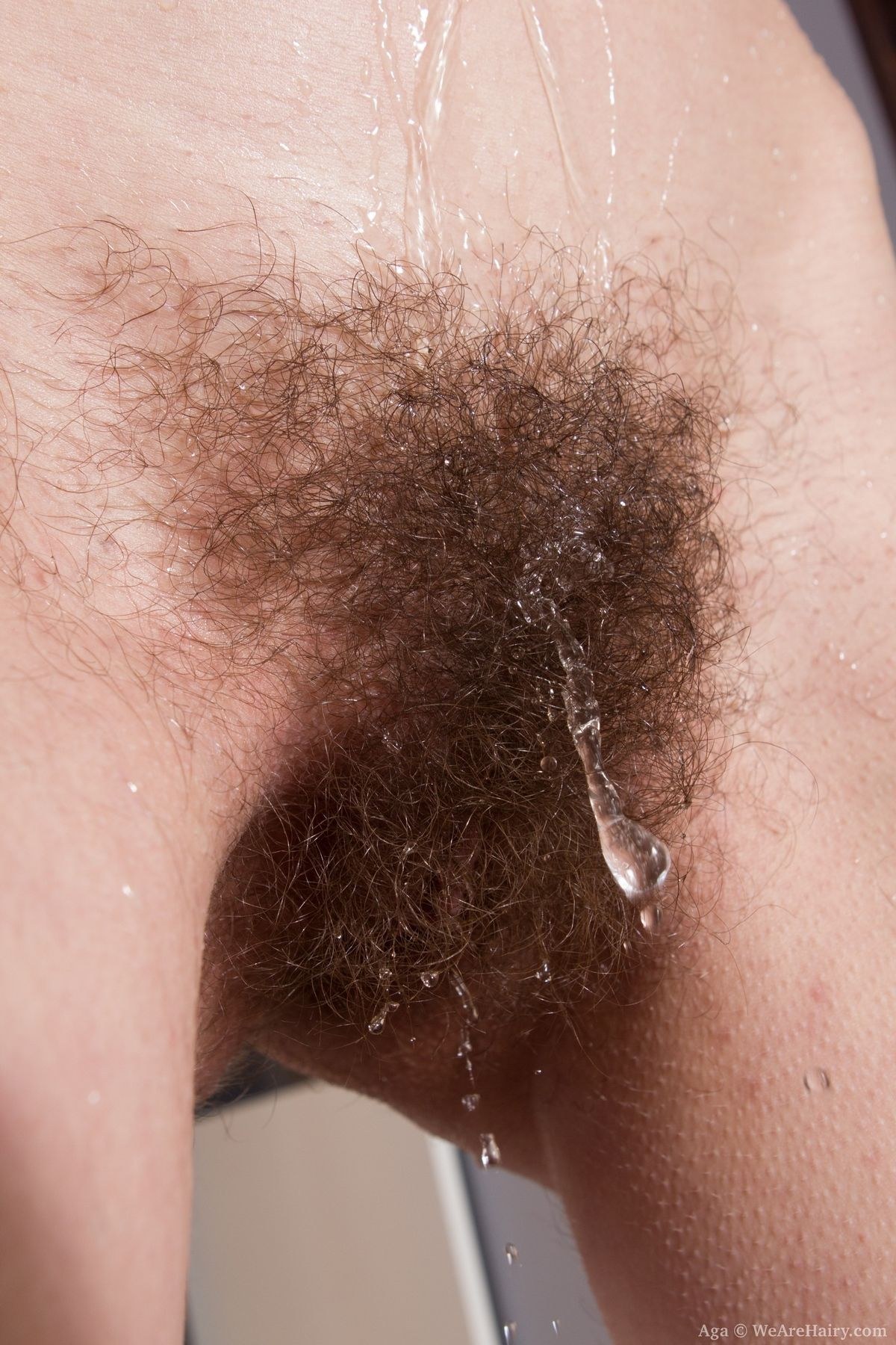 волос лобок порно фото 83