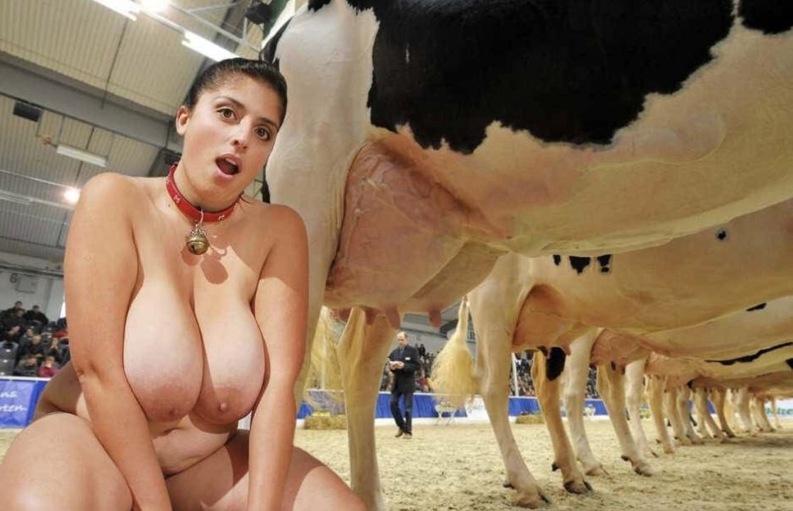 порно на дойках у коровы фото 6