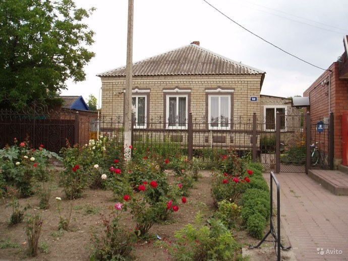 Станица Новоплатнировская Краснодарский край