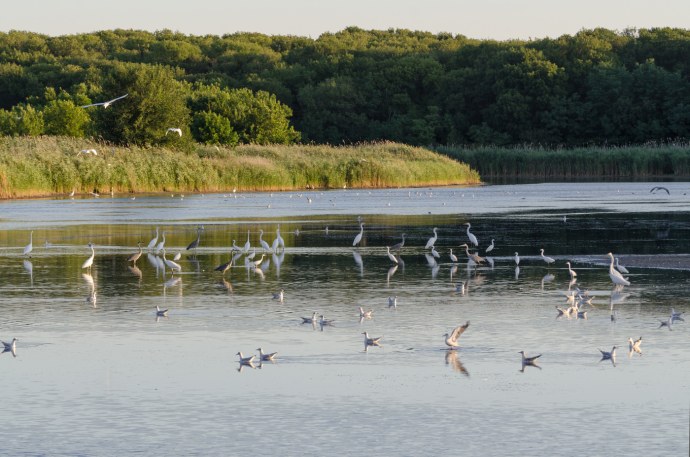 Станица Ленинградская
