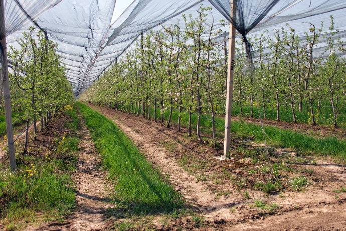 День станицы 2018 Каневская