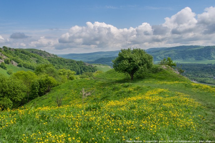 Григориополь мемориал «Скорбящая мать».