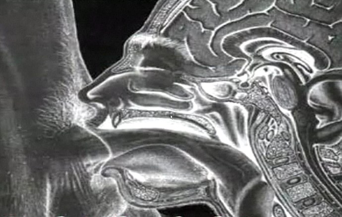 Женское влагалище изнутри