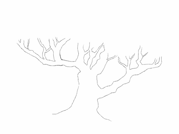 Kate Sarkissian фото