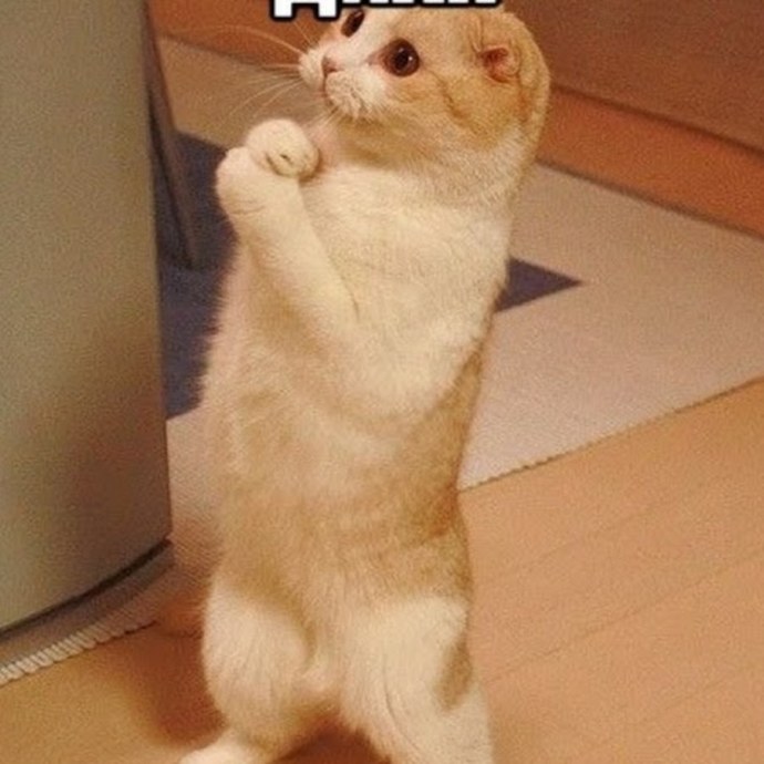 Ласки женщины